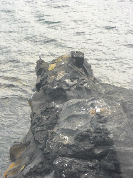寝熊の岩です。【利尻島】